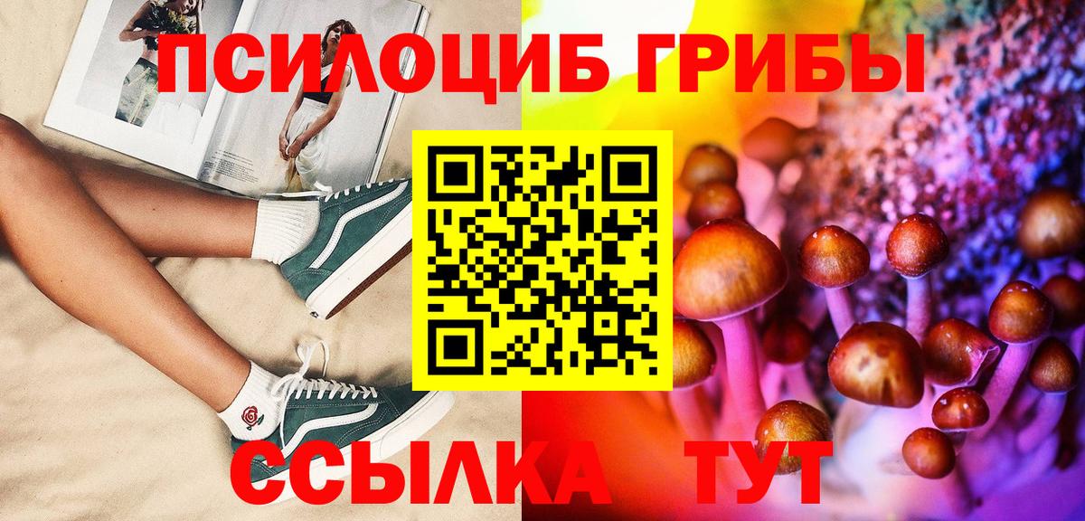 Псилоцибиновые грибы Cubensis Клин